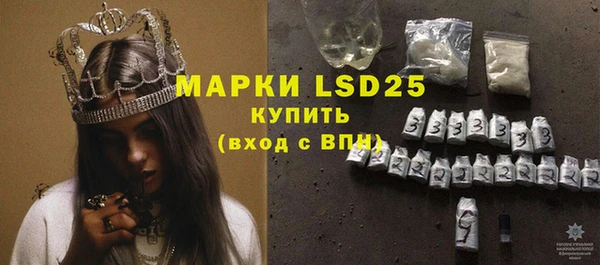 ECSTASY Инсар