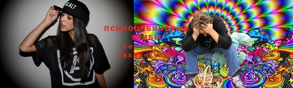 ECSTASY Инсар